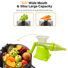 Manual Juicer Modern Plastic Fruit and Vegetable Juicer (1 Pc / Bowl Not Included)