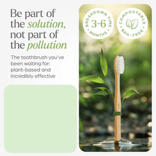 Eco-Friendly Natural Bamboo Toothbrush with Medium Bristles (2 Pc)