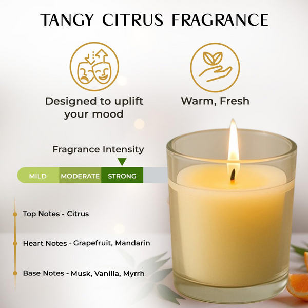 In'lief  Blueberry Soy-Blend Votive Candle Glass – 50 gm (1 Pc)